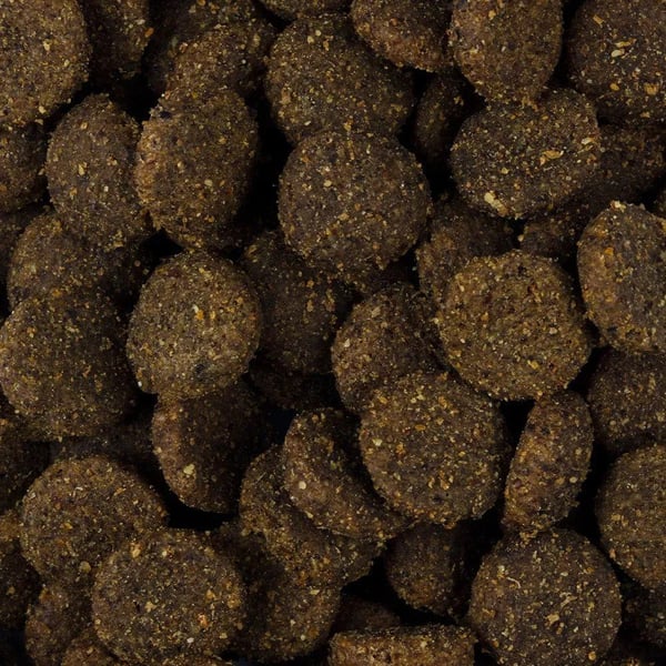 Brit Fresh Puppy Large Breed Growth & Joints, Beef, 12 kg