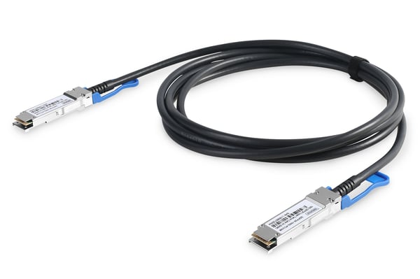 DIGITUS - 100GBase-CR4-direktekoblingskabel - QSFP28 (hann) til QSFP28 (hann) - 2 m
