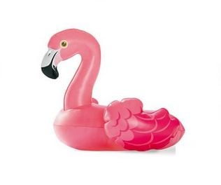 Intex Puffin 'N Play -vesilelut - 4 vaihtoehtoa