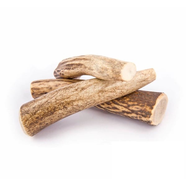 4DOGS R12, Hund, Godteleke, Beige, Brun, Tygging, Polen, 120 mm