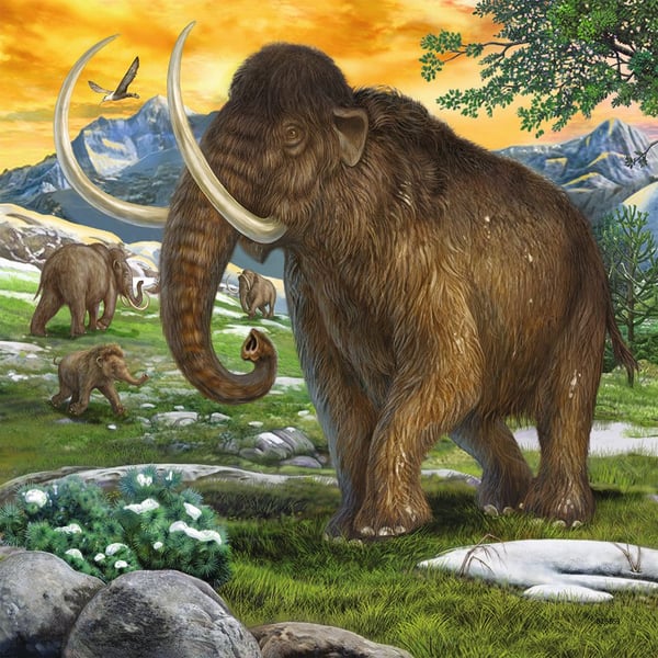Ravensburger 4005556093588, 49 kpl, Dinosaurukset, 5 vuosi/vuosia