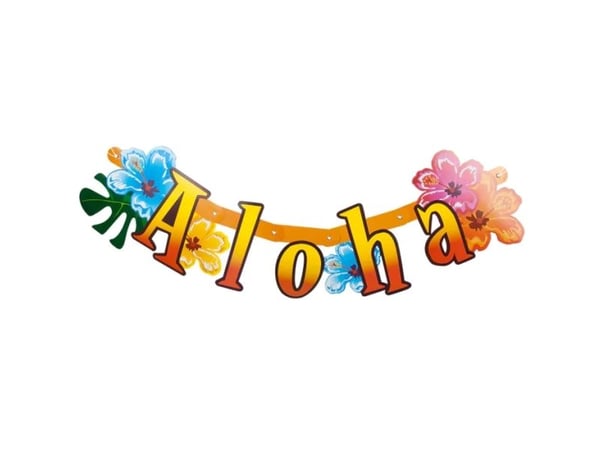 Boland 52515, Garland, Fotoark kartong, Flerfarget, 830 mm, 94 g, 330 mm