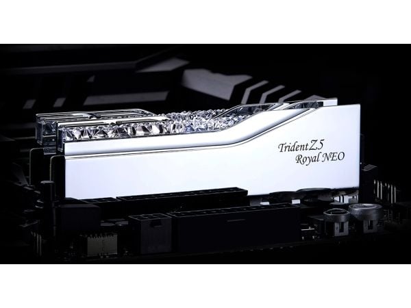 G.Skill Trident Z5 Royal Neo RAM-minne 48 GB DDR5 F5-8000J4048G24GX2-TR5NS, sølv