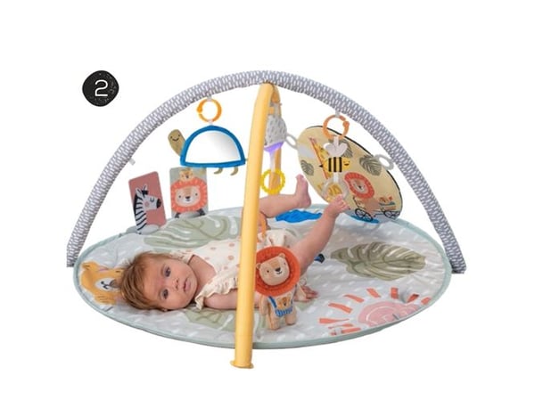 TAF Savannah 360 Activity Gym