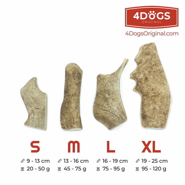 4DOGS DANIEL_M, Hund, Godteleke, Beige, Brun, Tygging, Polen, 13 cm
