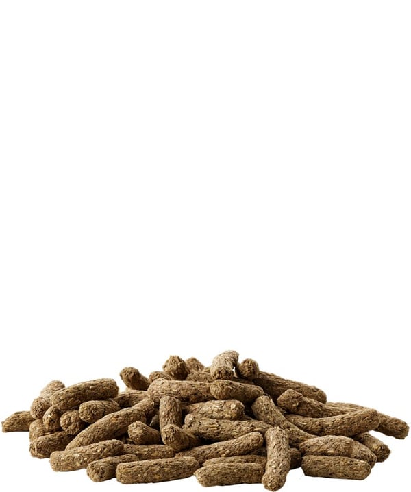 VERSELELELAGA HAMSTERI- OG GERBILFODER 500G