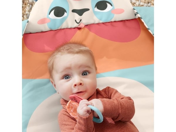Fisher-Price Planet Friends Roly-Poly Panda -leikkimatto, Vauvan leikkimatto, Kangas, Muovi, Monivärinen