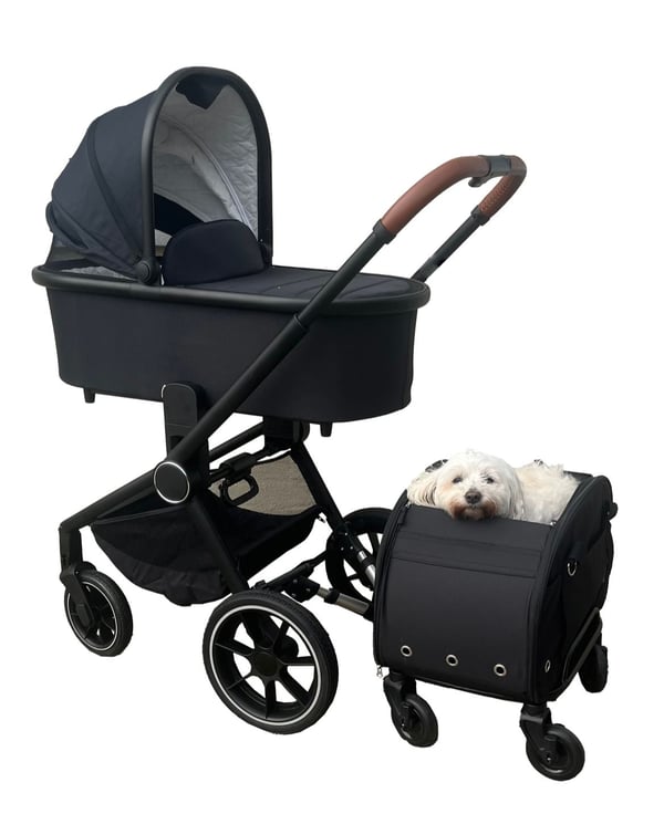 Close2Me DeLuxe Pet-Rider