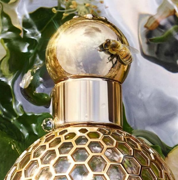 Guerlain Aqua Allegoria Pera Granita -hajuvesi (Eau de Toilette) 75 ml naisille