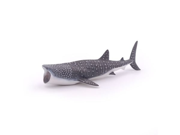Papo 56039, 3 år, Marine life, Grå, Hvit, PVC