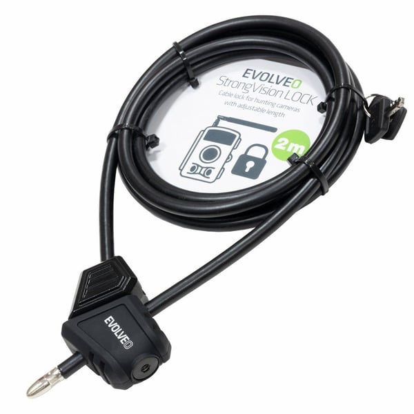 Evolveo Ptero SGVCAMLOCK, 2 m, 2 nycklar, Svart