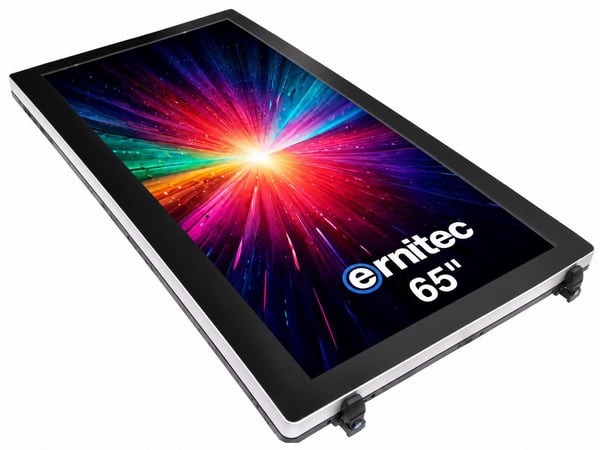 Ernitec - 65" Diagonal klass Outdoor Kiosk Series LED-bakgrundsbelyst LCD-skärm - digital skylt/kiosk - 4K UHD (2160p) 3840 x 2160 - rostfritt stål