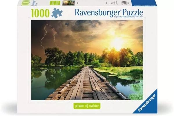 Ravensburger 12000305, 1000 stykker, Andre