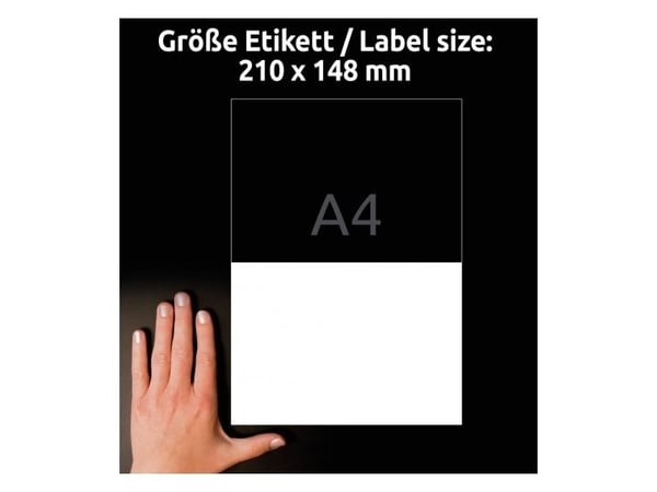 Avery LR3655-10, Hvit, Rektangel, Permanent, 210 x 148 mm, A4, Papir