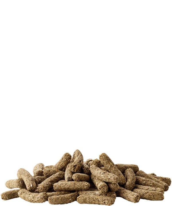 VERSELE-LAGA RABBIT Cuni Adult Complete 8kg