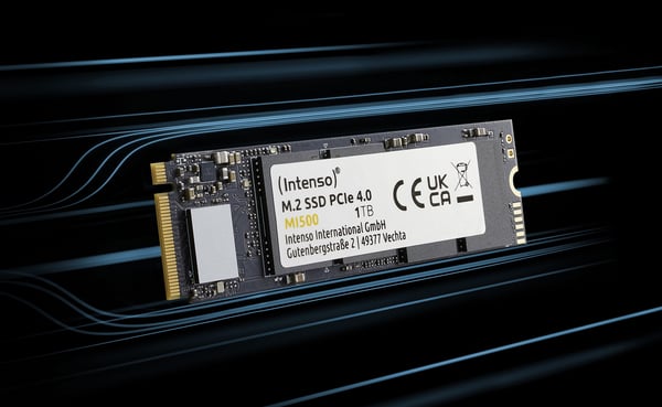 Intenso MI500 - SSD - 500 GB - inbyggd - M.2 2280 - PCIe 4.0 x4 (NVMe)