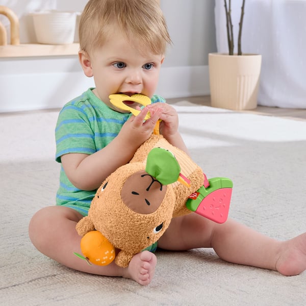 Fisher-Price , aisteja stimuloiva Snuggly Snacky Capybara -pehmolelu vauvoille, purulelu ja helistin, Leluvesisika, 0,25 vuosi/vuosia, Tuottaa ääntä
