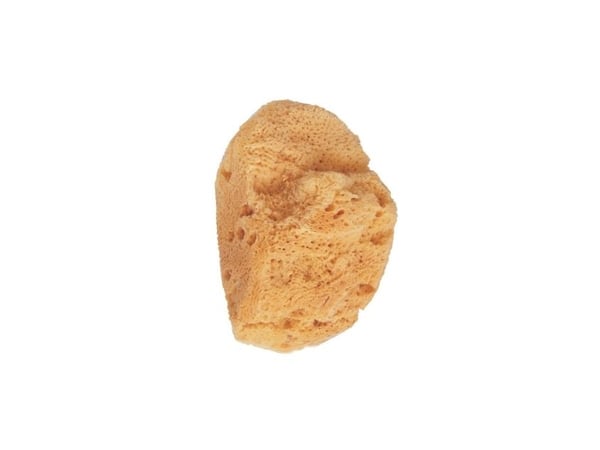 Beter Beter Small Natural Sea Sponge