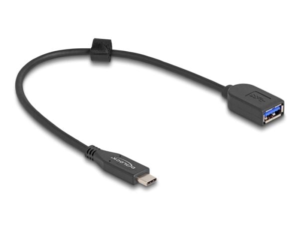 Delock - USB-kabel - USB-C (hane) till USB (hona) - 25 cm - upp till 10 Gbps dataöverföringshastighet, guldpläterade kontakter - svart