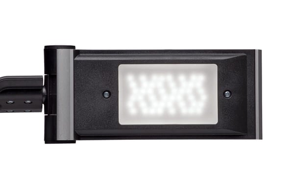 MAUL 8206095, Grå, Universell, 6 W, 4000 K, 50000 timer, 460 lm