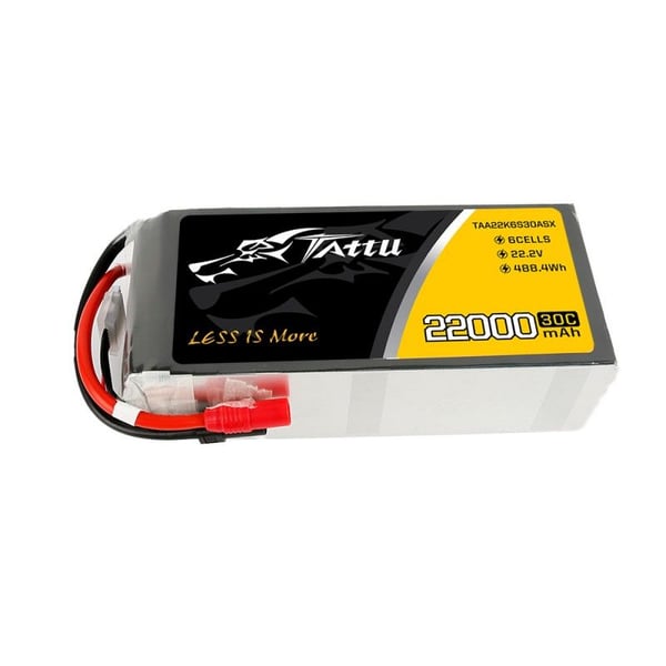 Tattu TAA22K6S30ASX, Batteri