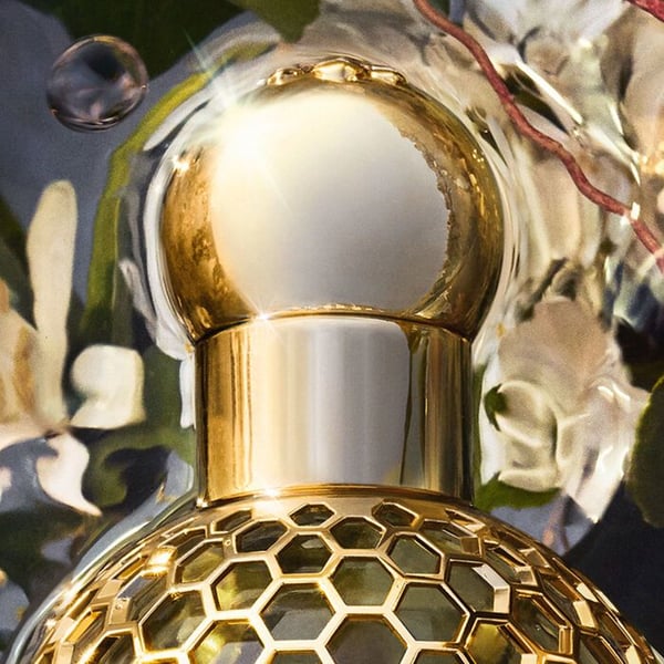 Guerlain Aqua Allegoria Forte Nerolia Vetiver hajuvesi 75 ml
