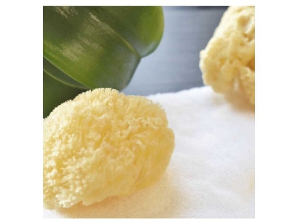 Beter Beter Small Natural Sea Sponge