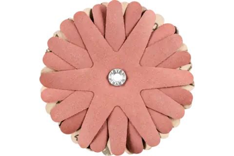 PFERD POLISTAR-TUBE cross buffs, 10 styck