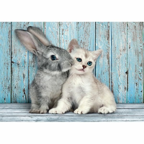 Clementoni High Quality Collection Cat & Bunny, 500 stykker, Dyr, 18 år