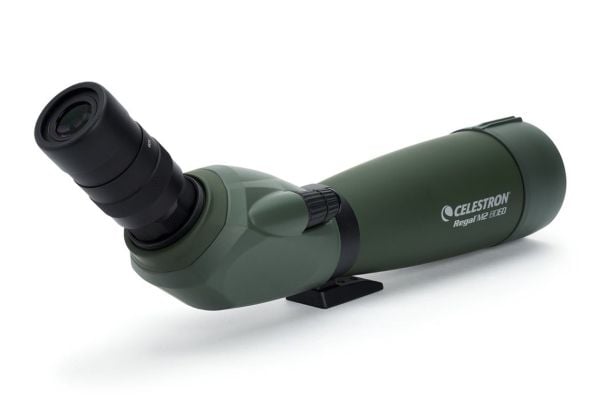 Celestron Regal M2 - Observasjonsteleskop 20-60 x 80 - vanntett - grønn