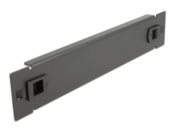 Delock - Dekkepanel for rackavskjerming - svart - 1U - 10"