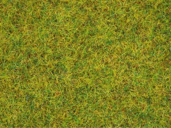 NOCH Scatter Grass Kesäinen niitty, Vihreä