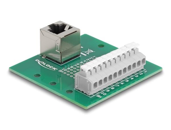 Delock - Nettverksadapter - RJ-50 (hunn) vinklet til 11-pinners terminalblokk - DIN-rail mountable, trykknapp, 3,81 mm stigning, stifttilordning: 1:1
