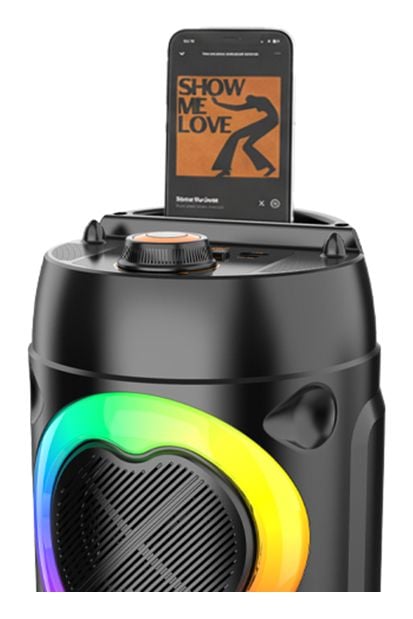 Tracer Powervox P1 - Selskapshøyttaler - for bærbar bruk - trådløs - Bluetooth - 20 watt