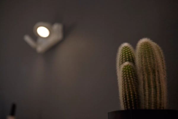 Philips WarmGlow LED Clockwork tak-/väggspotlight 2 x, Utanpåliggande spotlight, Glödlampan/-lamporna kan inte bytas ut, 2 lampor, LED, 9 W, 2700 K