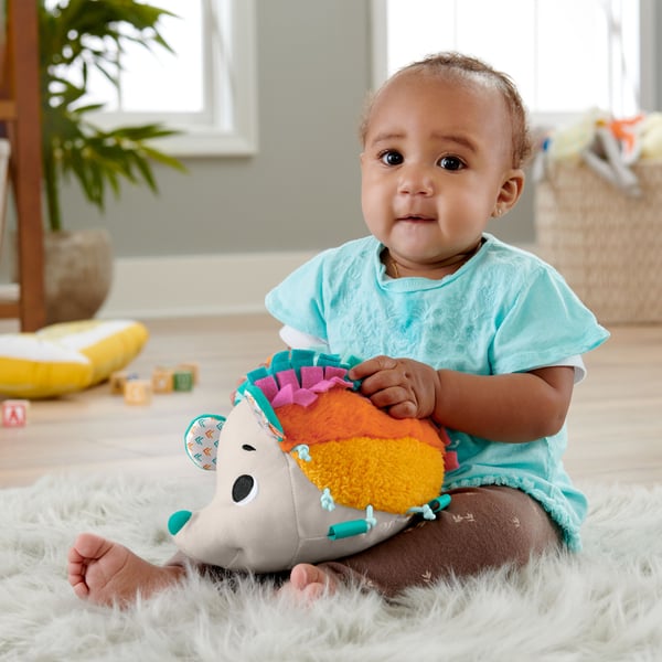 Fisher Price Cuddle & Snuggle Hedgehog