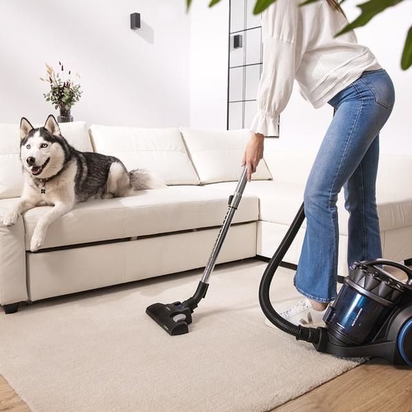 Cecotec 08592, 800 W, Rumpuimuri, Kuiva, Pussiton, 4 L, Multi-sykloniitti