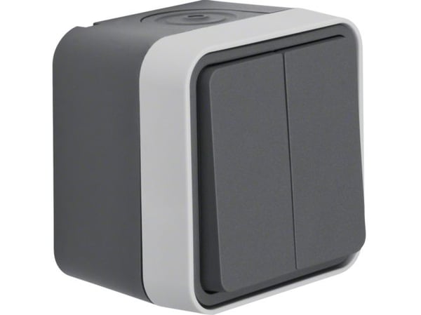 Berker 30753505, Knapper, Grå, 10 A, 250 V