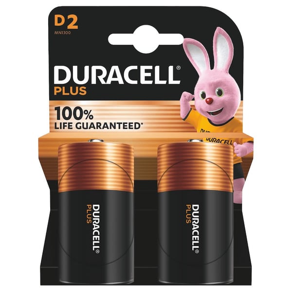 Duracell Basic D / R20 batteri 2 stk