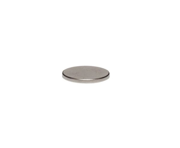 MAUL neodymmagnet, diameter: 10 x (H) 1 mm, nikkel, holdekraft: 0,5 kg, skive - 1 stk (6166196)
