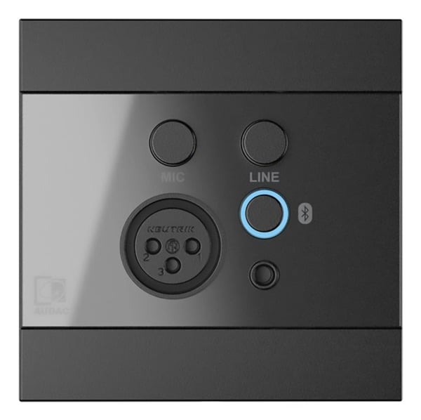 Audac WP225 - Lydforlengerledning - Bluetooth