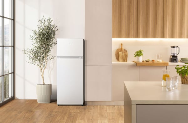 Gorenje RF4142PW4 kombiskap 206 L energiklasse E 55 cm, hvit