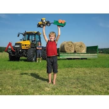 Bruder Tipping trailer with removable top toy