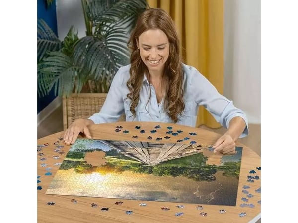 Ravensburger 12000305, 1000 stykker, Andre