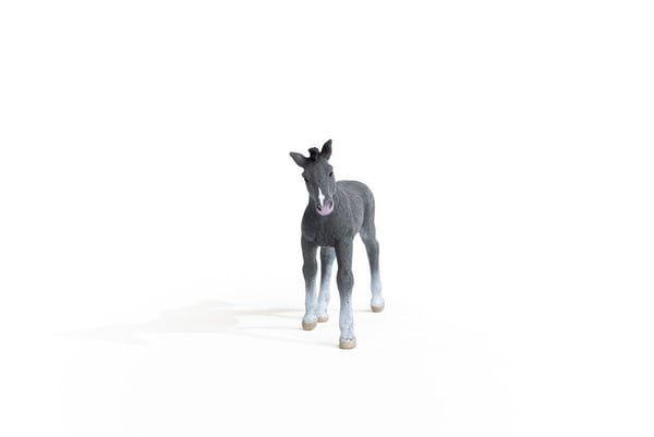 Schleich Trakehner hingstefole