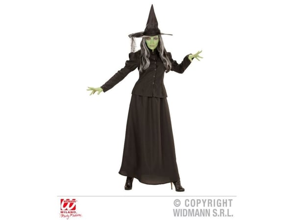 Fairytale Witch kostym