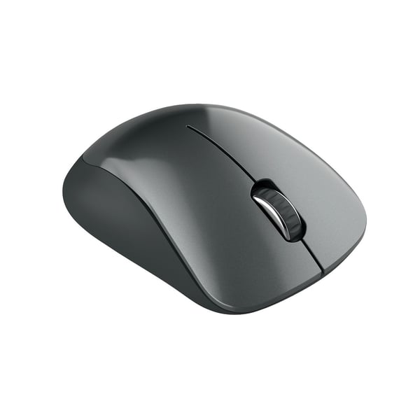 Canyon MW-11 - Mus - høyrehendt - optisk - 3 knapper - trådløs - 2.4 GHz - USB trådløs mottaker - svart