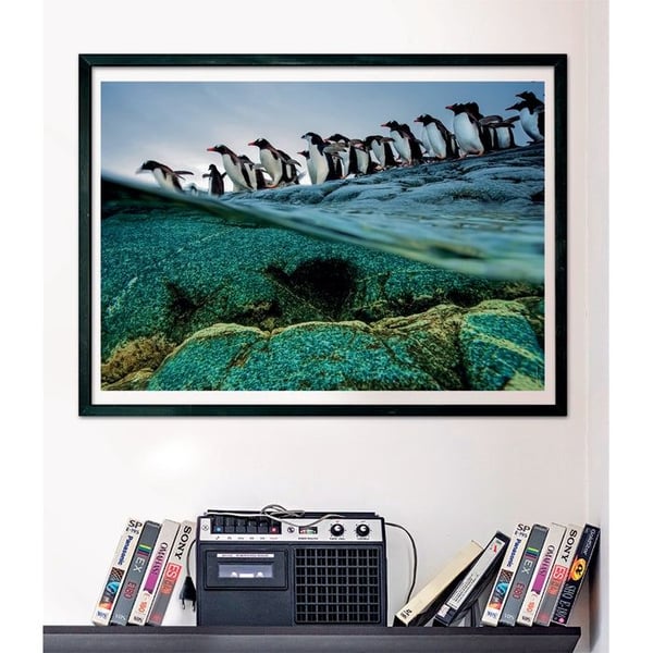 Clementoni puslespill National Geographic Pingvin 1000 brikker, 50*70cm