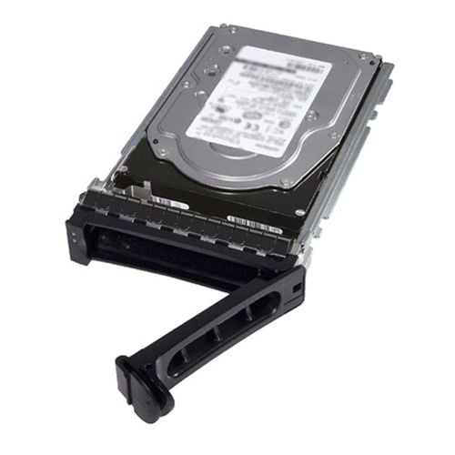 Dell - Customer Kit - SSD - Read Intensive - 960 GB - 512e - 2.5" i 3,5 tommer leder - SATA 6Gb/s