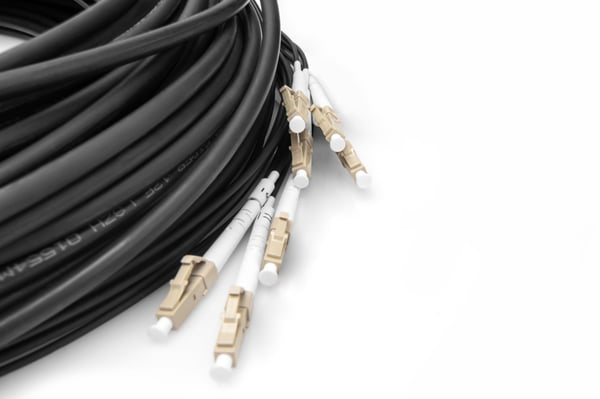 DIGITUS - Nettverkskabel - LC/UPC-multimodus (P) til LC/UPC-multimodus (P) - 75 m - fiberoptisk - 50 / 125 mikroner - OM4 - halogenfri, innendørs/u...
